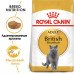 Royal Canin British Shorthair Adult Корм сухой сбалансированный для взрослых британских короткошерстных кошек, 2 кг