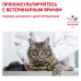 Royal Canin Gastrointestinal Корм сухой диетический для взрослых кошек при расстройствах пищеварения, 2 кг