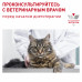 Royal Canin Neutered Balance корм консервированный полнорационный для взрослых кошек с момента стерилизации до 7 лет, соус, 0,085 кг