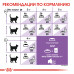 Royal Canin Sterilised 7+ Корм сухой сбалансированный для стерилизованных кошек, 1,5 кг