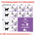 Royal Canin Sterilised 37 Корм сухой сбалансированный для взрослых стерилизованных кошек, 10 кг